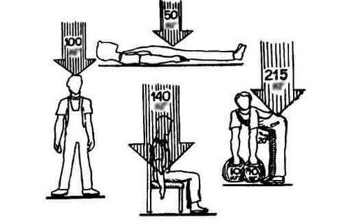 Stress on the spine in different positions